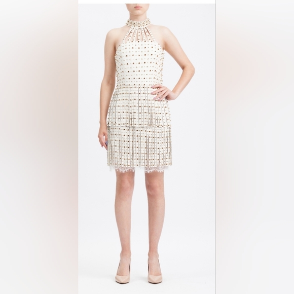 Alice + Olivia Maddie leather studded fringe halter mini dress Size 8 NWT $1,695 - Picture 8 of 14